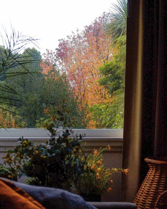 Harrys House Warburton - Peaceful Riverside Cottage In The Perfect Location Экстерьер фото